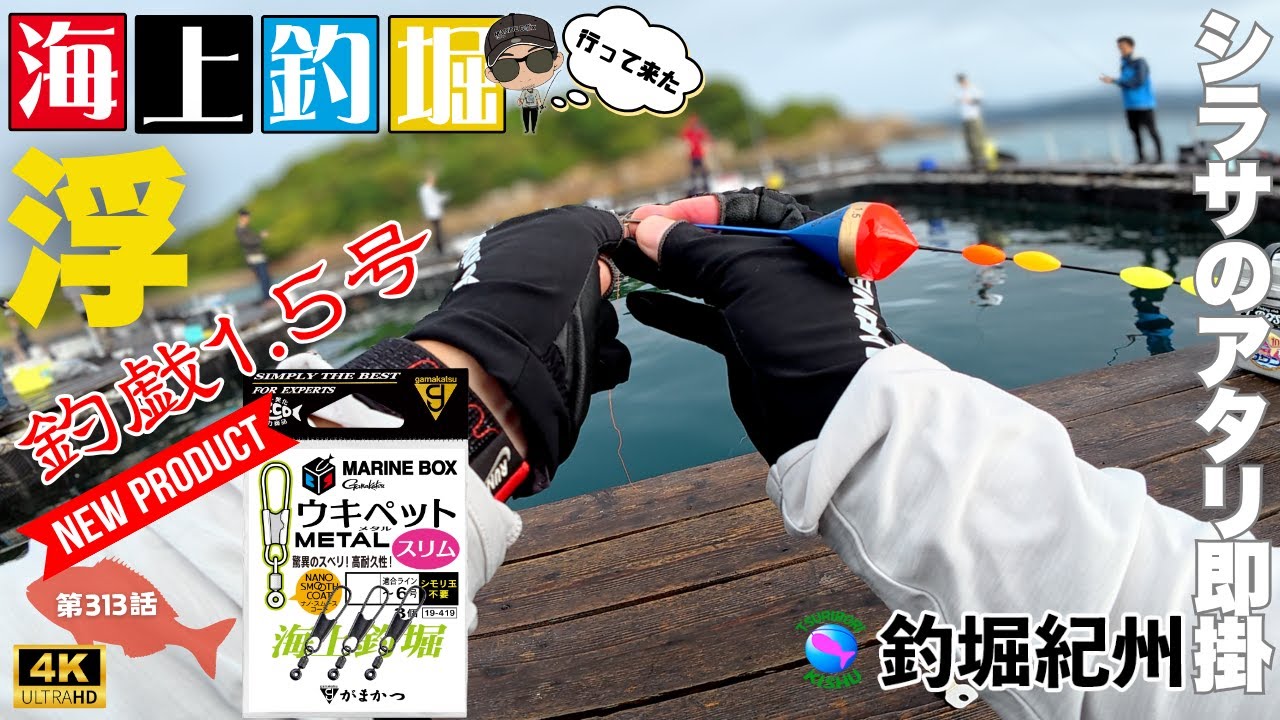 【海上釣堀】高感度ウキ釣遊1.5号が売っていたので買ってシラサで早速アタリ検証