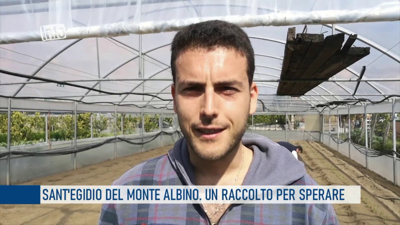 Sant'Egidio del Monte Albino. Un raccolto per sperare