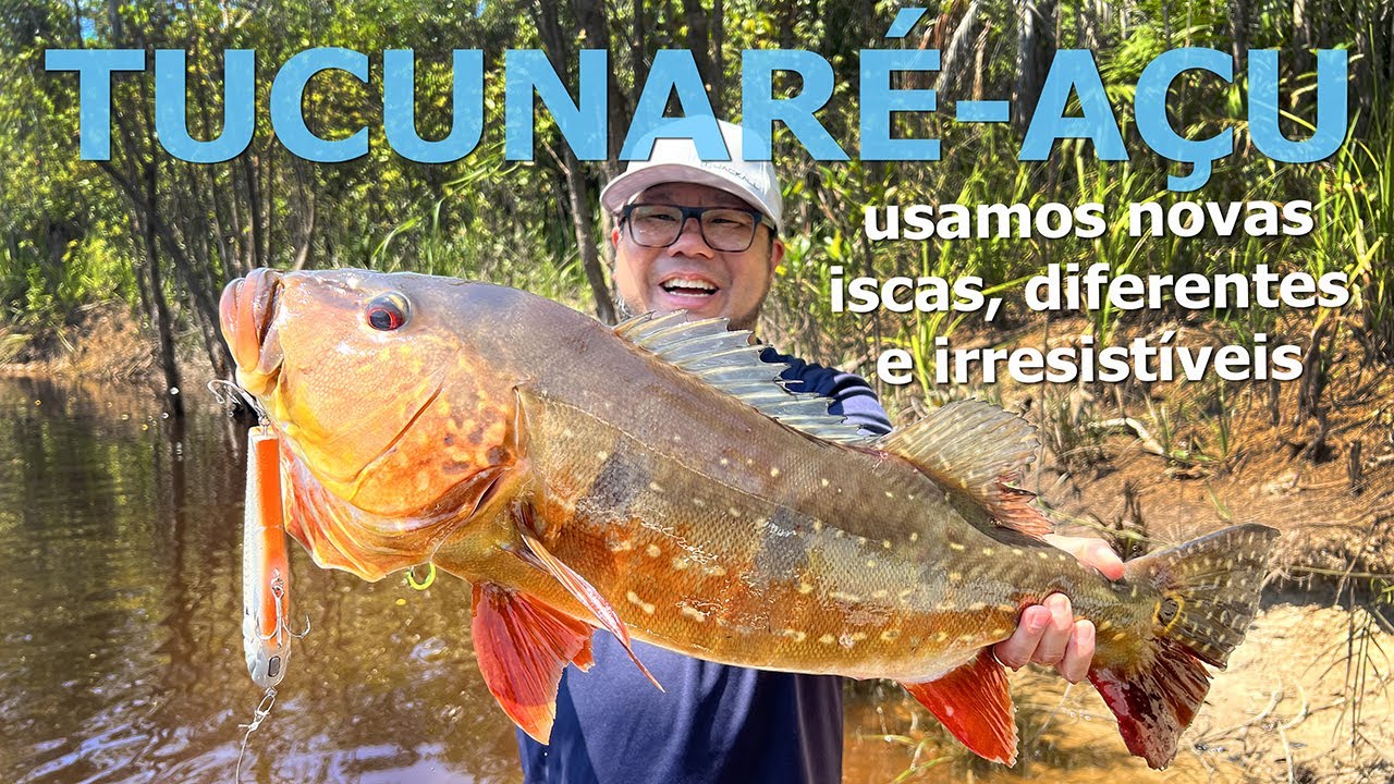 NOVAS ISCAS PARA O TUCUNARÉ-AÇU