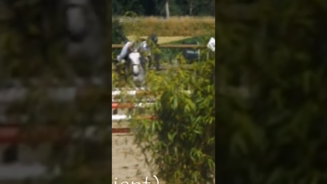 Ma PIRE chute en concours ?! 😭 