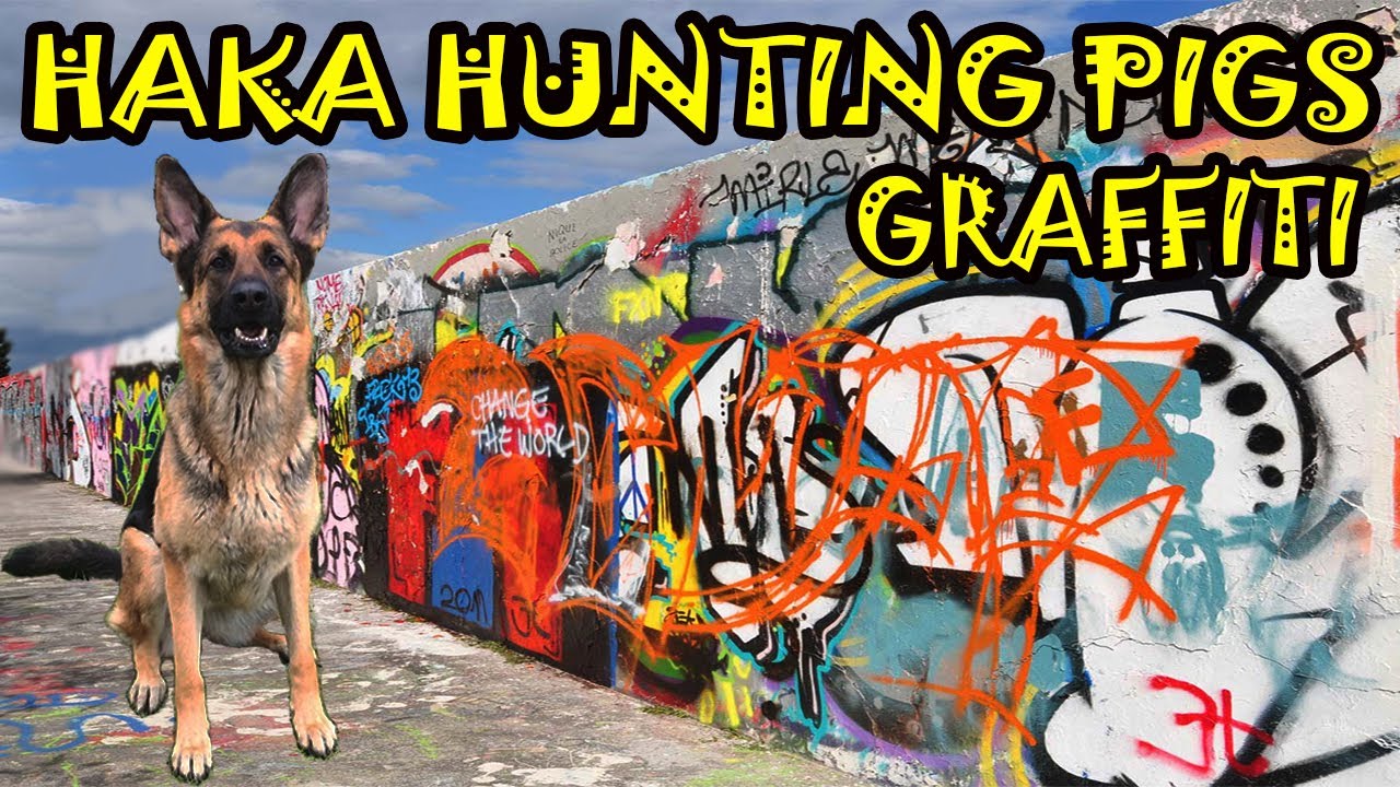 Haka Hunting Graffiti Pig AeuL ( German Shepherd Dog Chasing Pigs )