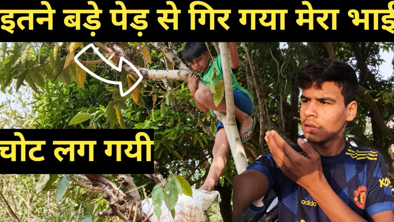 मरते मरते बचा आज पेड़ से गिरके मेरा भाई