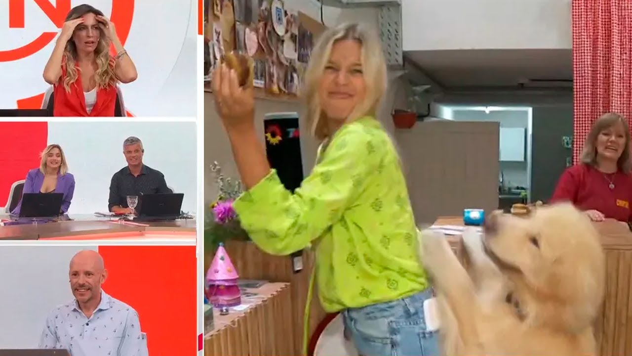 Marina Se&ntilde;uk fue &ldquo;atacada&rdquo; por perros durante un m&oacute;vil en una panader&iacute;a para mascotas