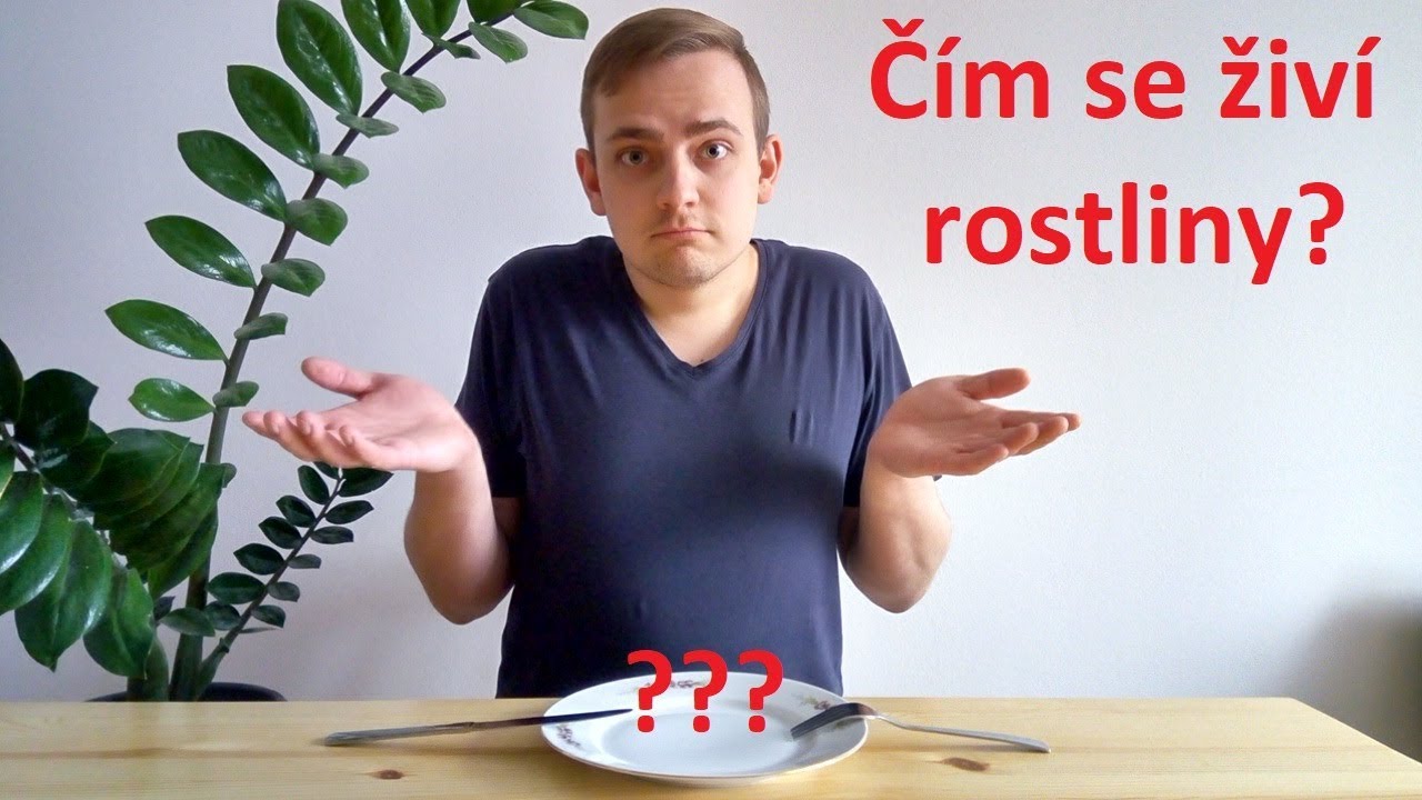 Green Hell - #4 Čím se živí rostliny?