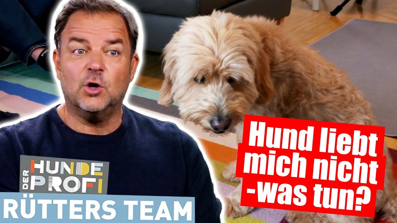 MEIN EIGENER HUND LIEBT MICH NICHT! | Der Hundeprofi - Rütters Team