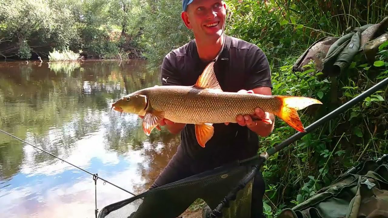 Barbel Fishing On A Busy River 2025