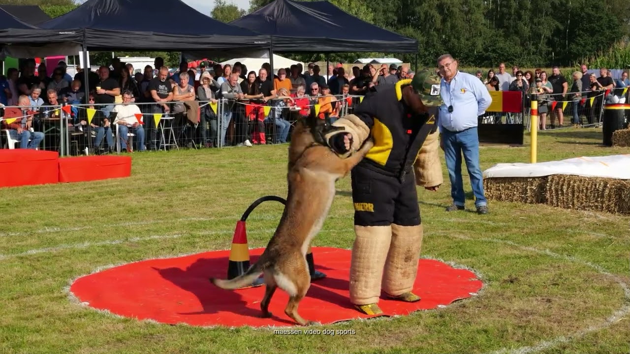NVBK Nationaal Kampioenschap  Championnat Nationale 2024  Hever