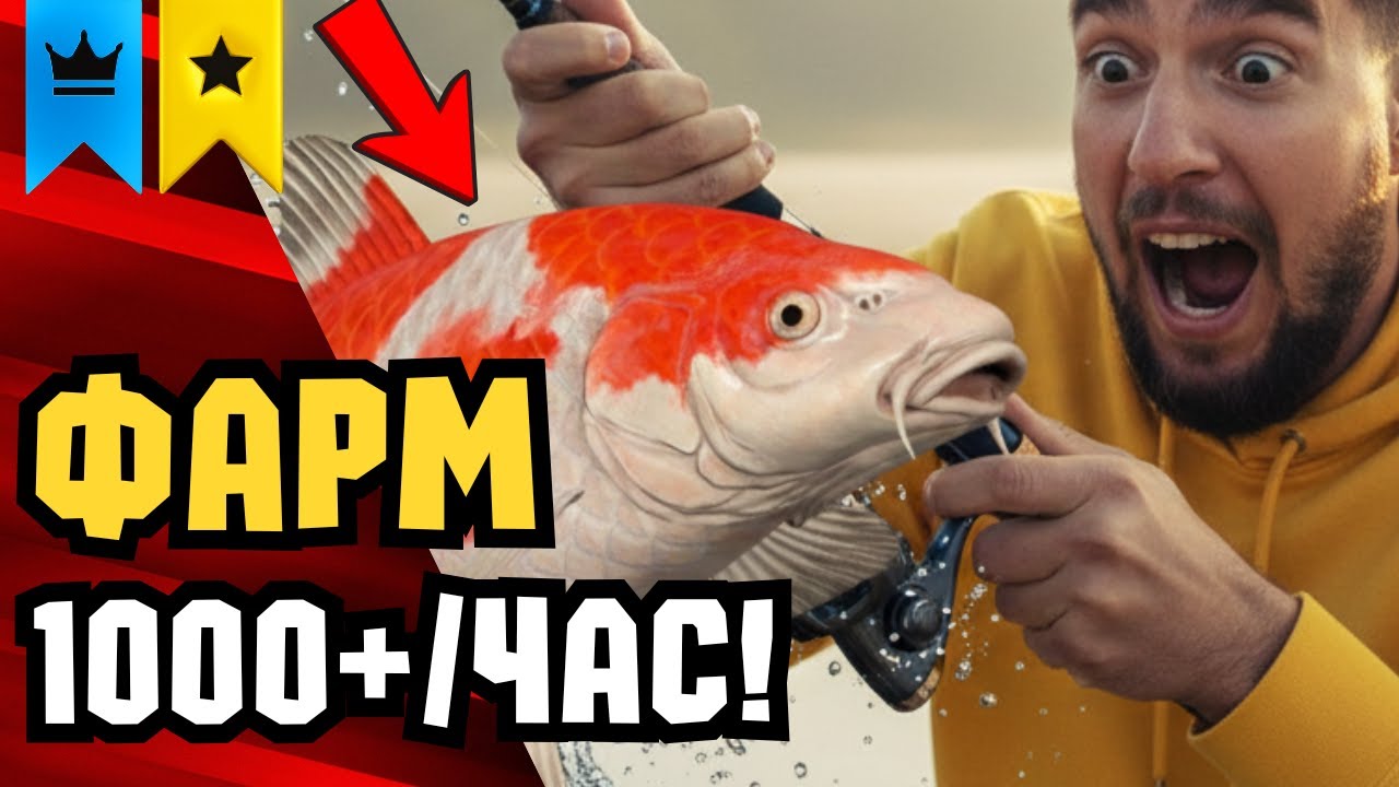 🔴 РР4 СТРИМ | НОВЫЕ ТОЧКИ для Фарма! РОЗЫГРЫШ Каждые 20 минут