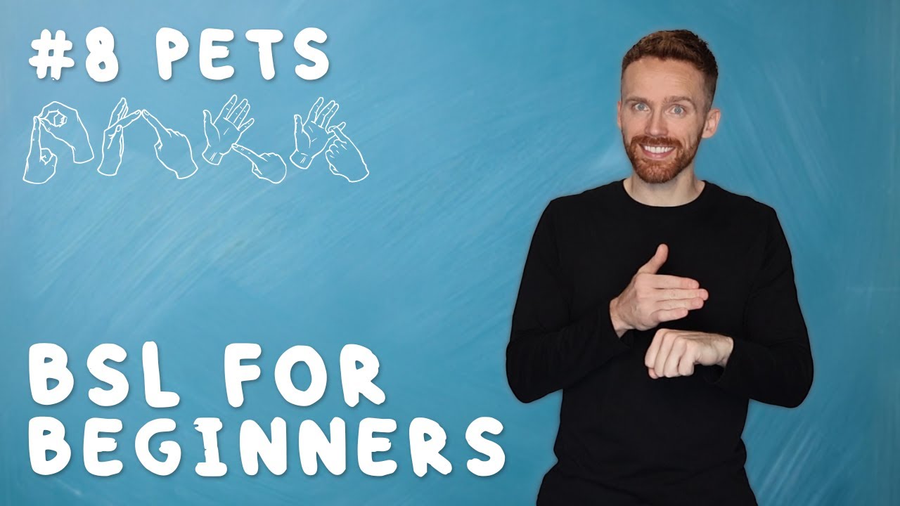 BSL for Beginners #8: Pets