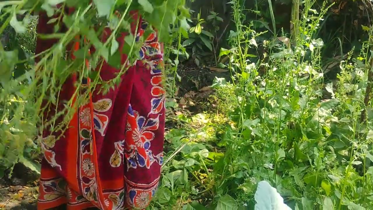 বন্ধুরা এটা হলো আমার সবজি বাগান #viral #dailyvlog #villagerlifestyle #food #dailyvlog #minivlog