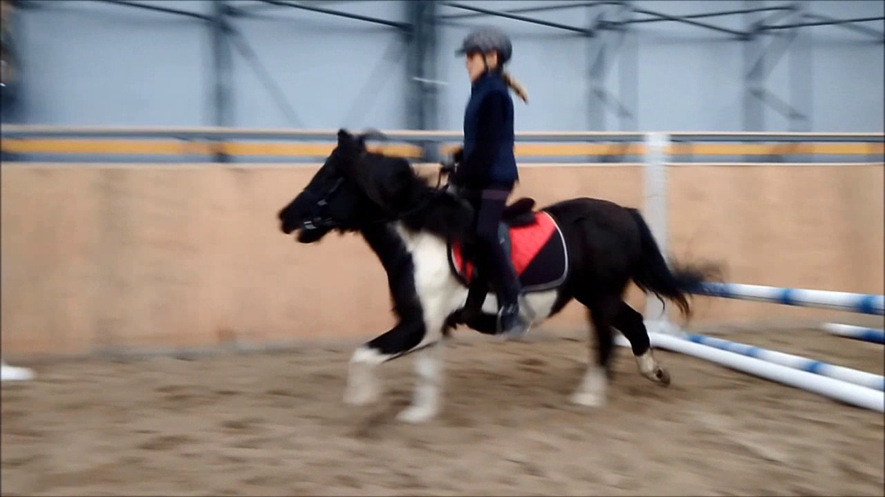 Dne&scaron;n&iacute; minijumping :))