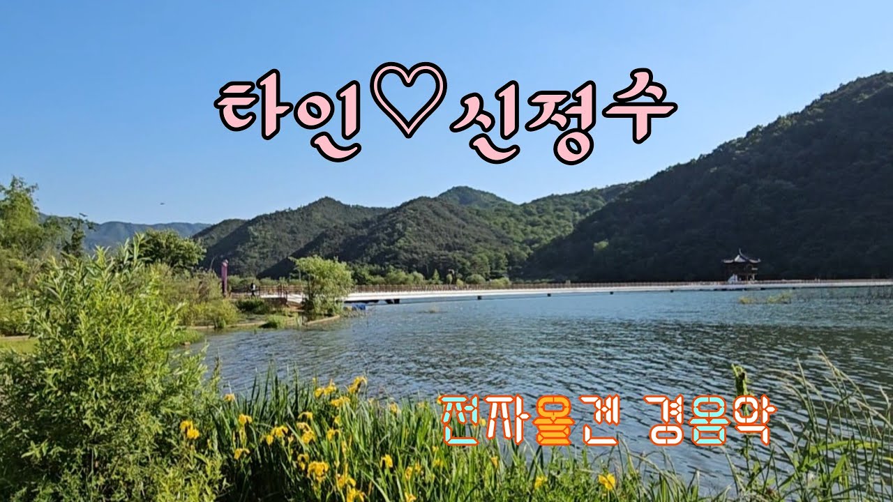 타인 / 신정수 / 전자올겐 경음악