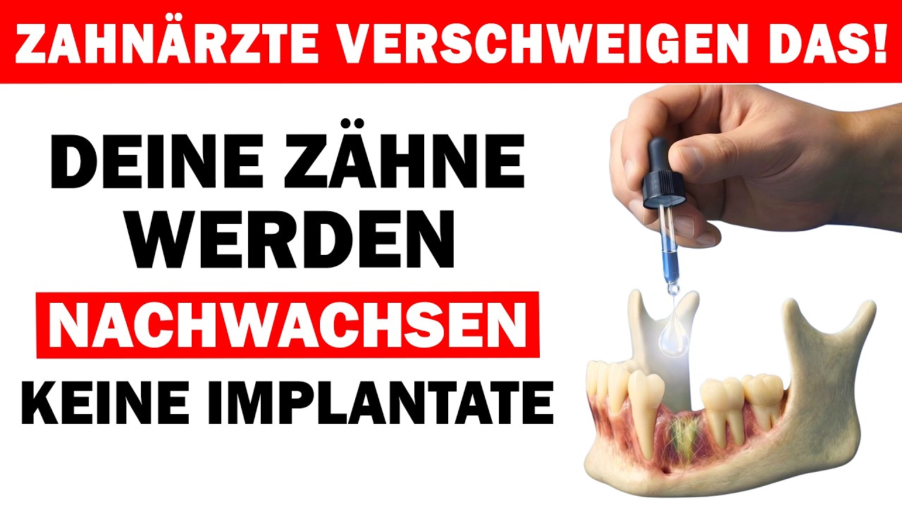 Diese Entdeckung lässt Zähne ohne Implantat nachwachsen (von japanischen Wissenschaftlern entdeckt)