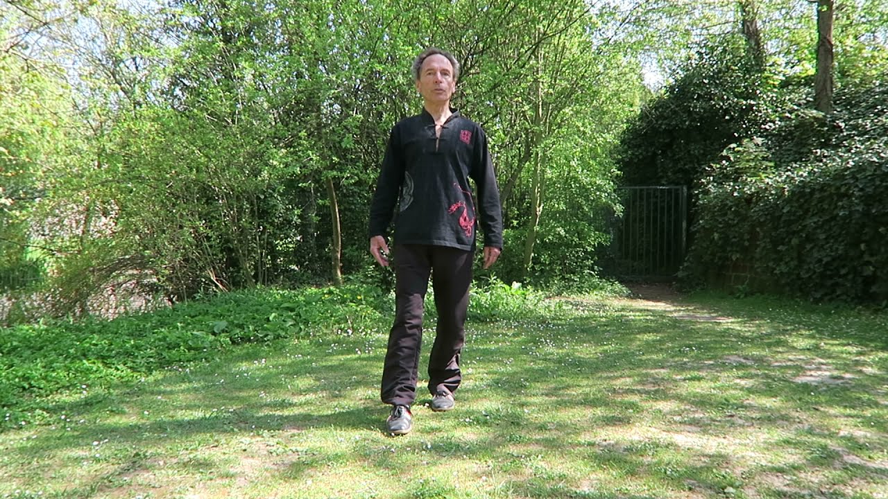 La Marche Portante