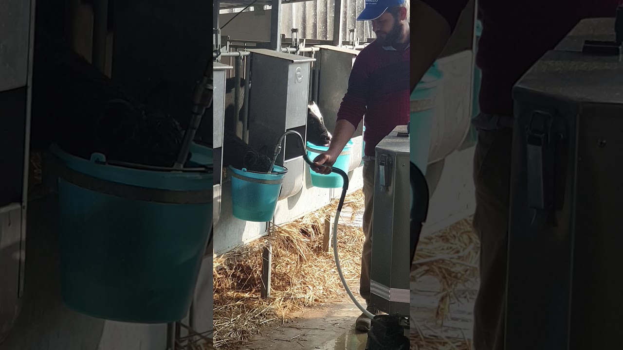MAMI milk Cart DeLucX