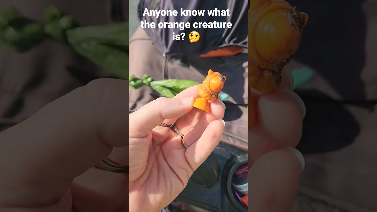 Fridays litter walk come along & what is this creature??? #mystery #vlog #shorts #clean #positivity