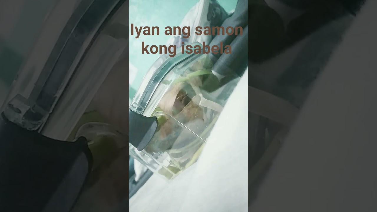 iyan ang new update ko samon ng isabela