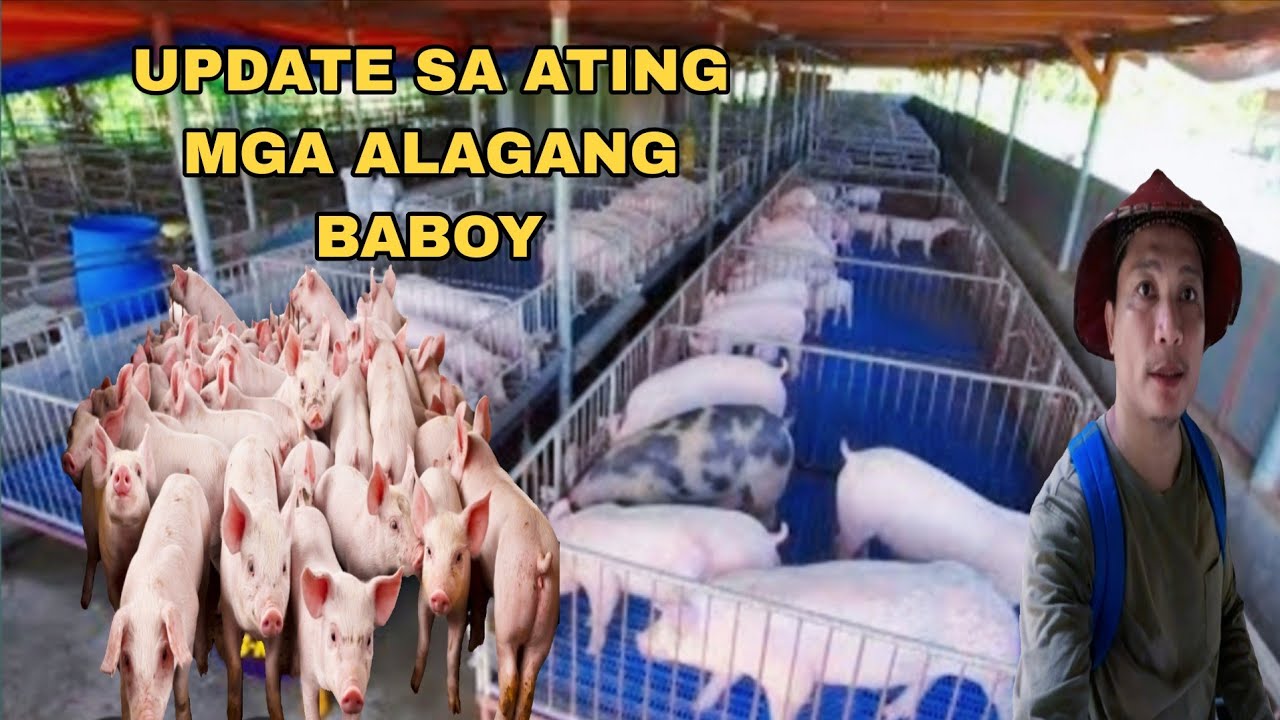 NAGSIMULA TAYO SA ISANG PIRASO NGAYON DUMADAMI NA SILA