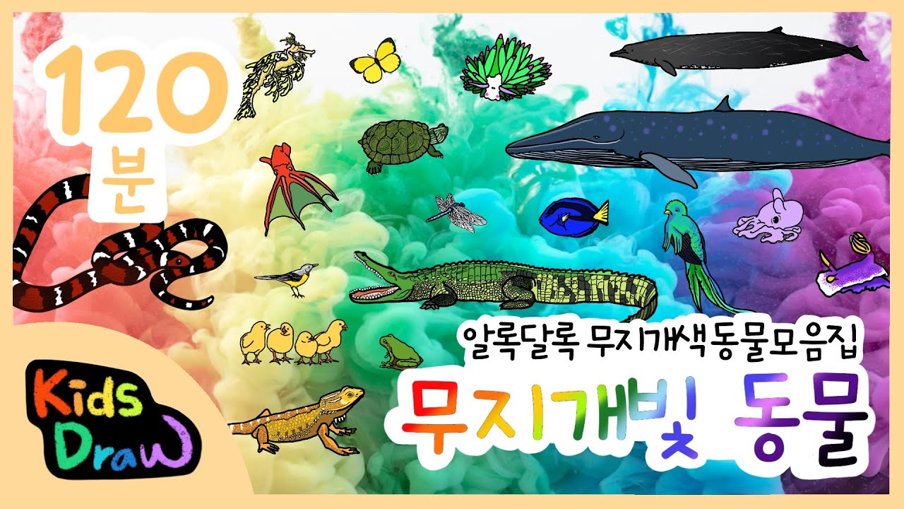무지개 동물 | 120분 모음집 | 알록달록 무지갯빛 색깔을 가지고 있는 동물은 누구일까? | 다양한 색의 동물들을 만나보아요 | 빨주노초파남보 | 색깔놀이 |  키즈드로우