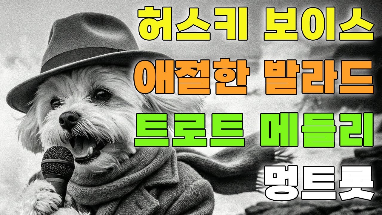 [플레이리스트] 허스키 보이스 애절한 발라드 트로트 메들리 🥀 허스키 보이스 너무 좋다! 트로트 연속듣기 | 멍트롯