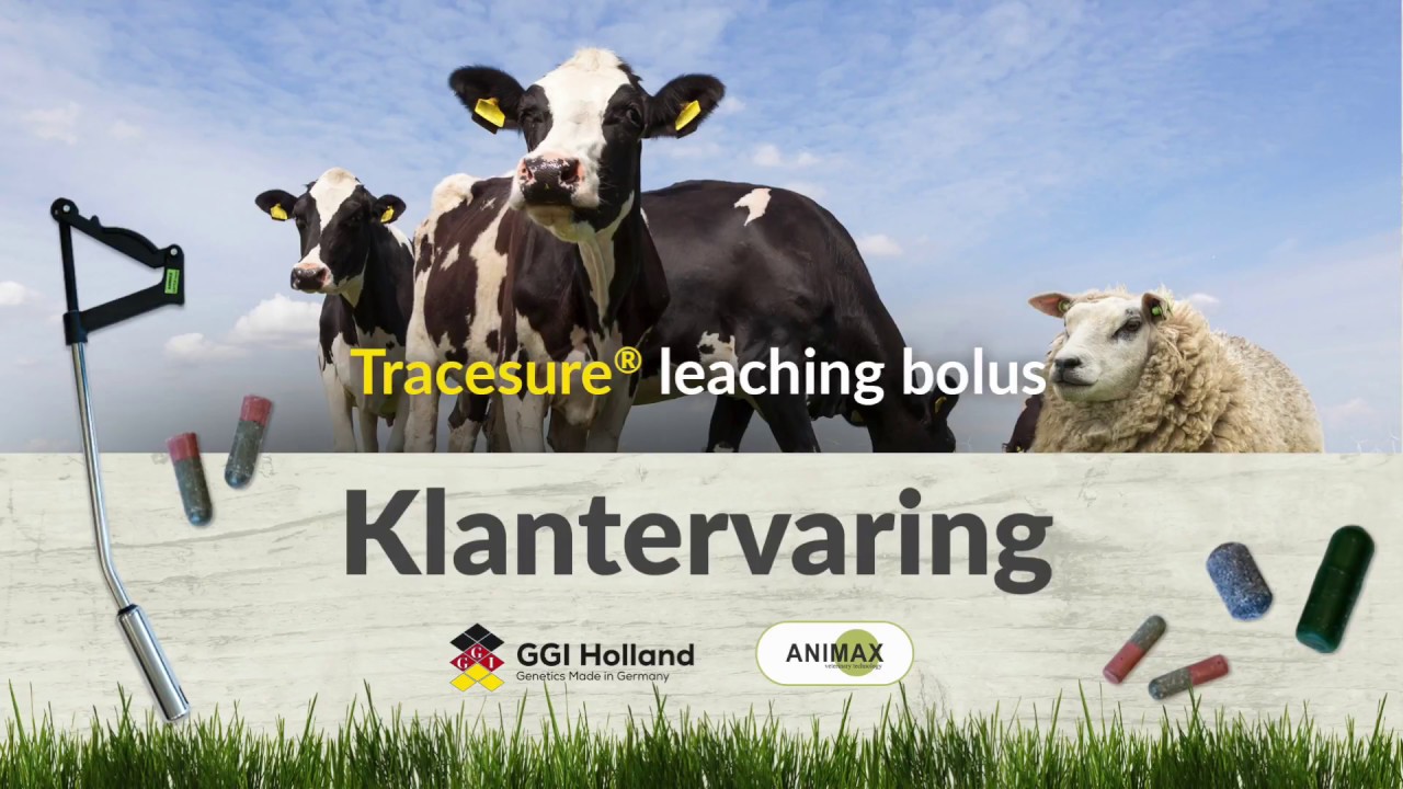 GGI-Holland Animax Rundvee bolus (Gebruikerservaring)