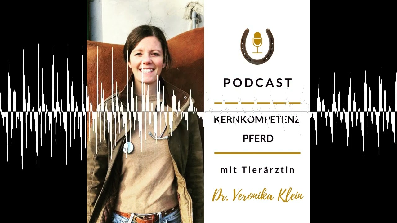 Pferde im Winter - Teil 1 (Gast-Interview)