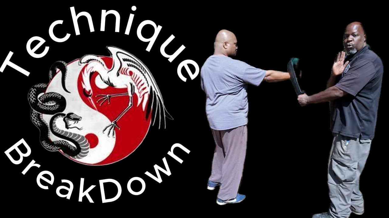 Wing Chun's Pak Sau fully understood!