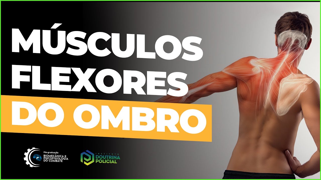 Músculos Flexores do Ombro | Aula de