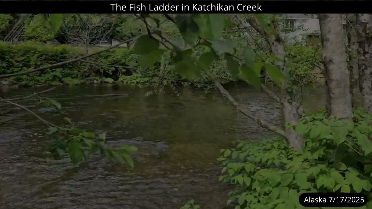 The Fish Ladder in Ketchikan Alaska