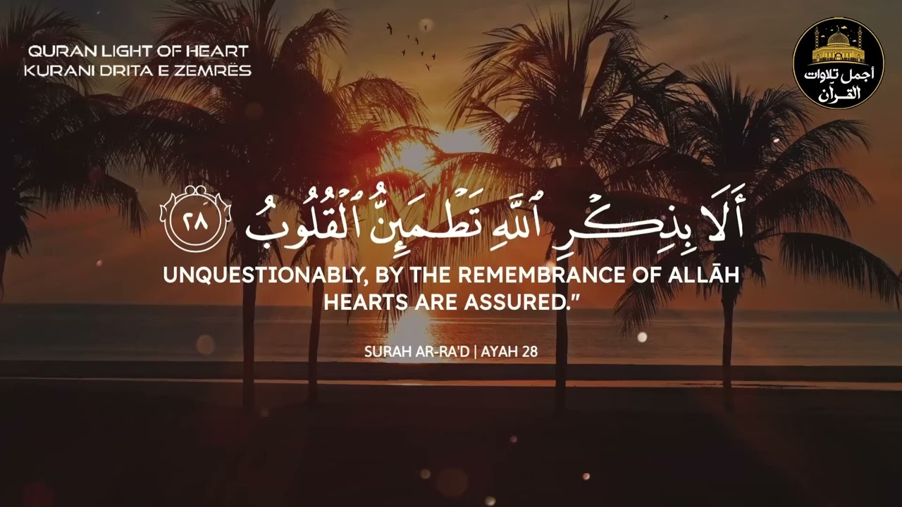 تلاوة قرآنية هادئة تريح القلب❤️راحة نفسية😌صوت جميل🎧أرح سمعك🥺❤️القارئ عبد الرحمن مسعد