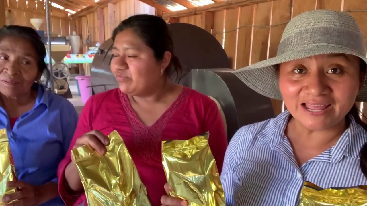 ASI PRODUCEN EL CAF&Eacute; EN LA COSTA CHICA DE GRO. | La Ruta del Caf&eacute; #3.