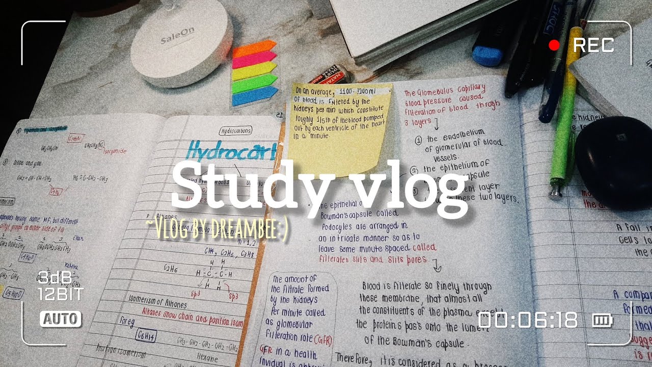Study vlog | study timelapse |lots of studying 
