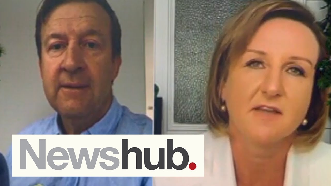 'Leaning in and listening': Political panel on Luxon, Willis National ticket | Newshub