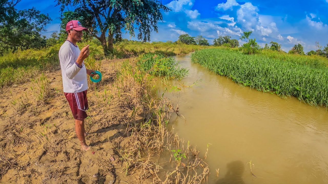 Pescando con tres carnadas gusano, lombriz, y corazón de res arroyo de aguas turbias