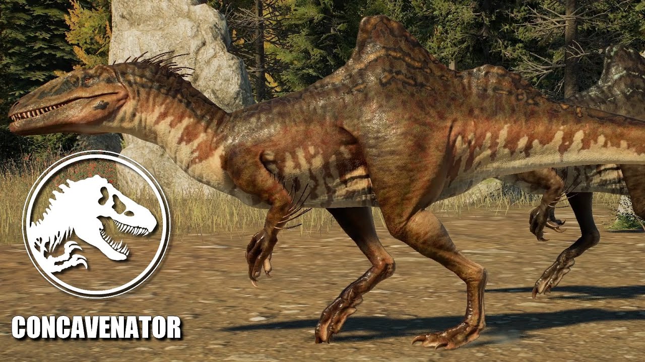 Concavenator vs Australovenator - All Animations & Skins - JWE 2 Cretaceous Predator Pack
