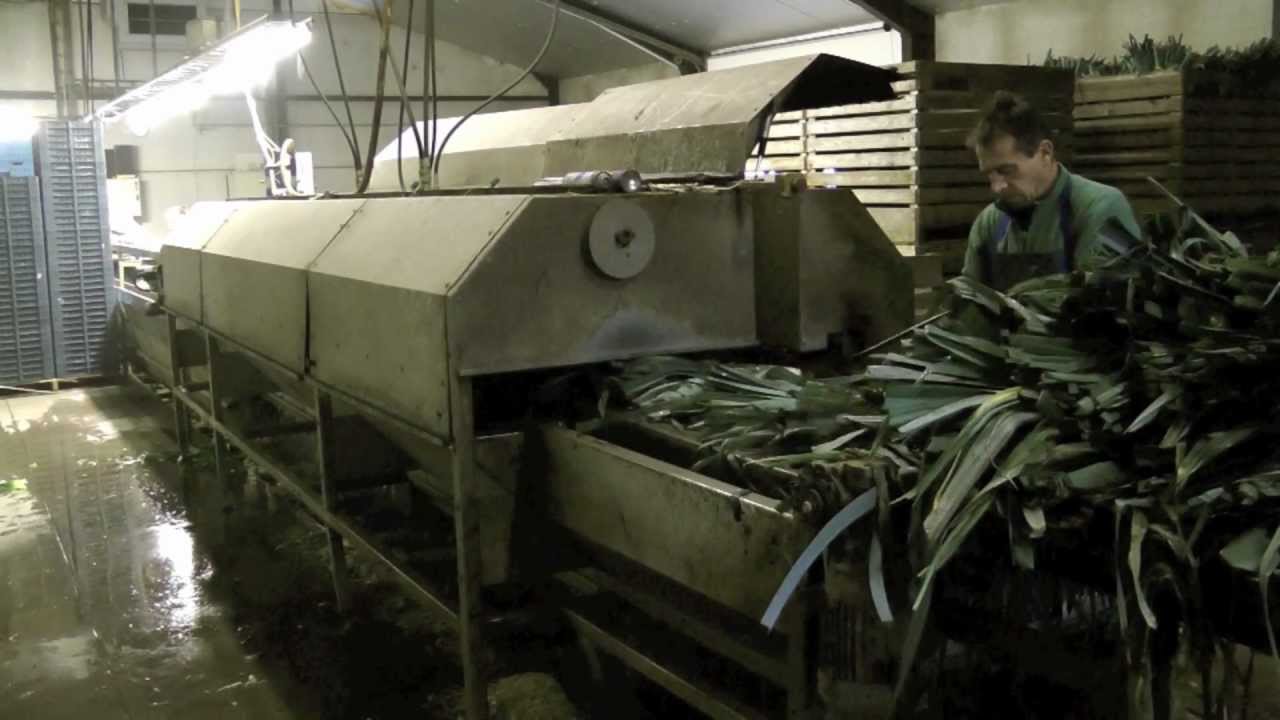 Leek Washing Cutting Peeling machine Type 1400 Christiaens