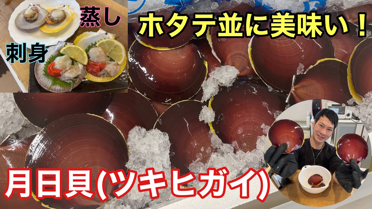 ホタテ並に美味い！月日貝｢ツキヒガイ｣仕入れて刺身とワイン蒸し作る！