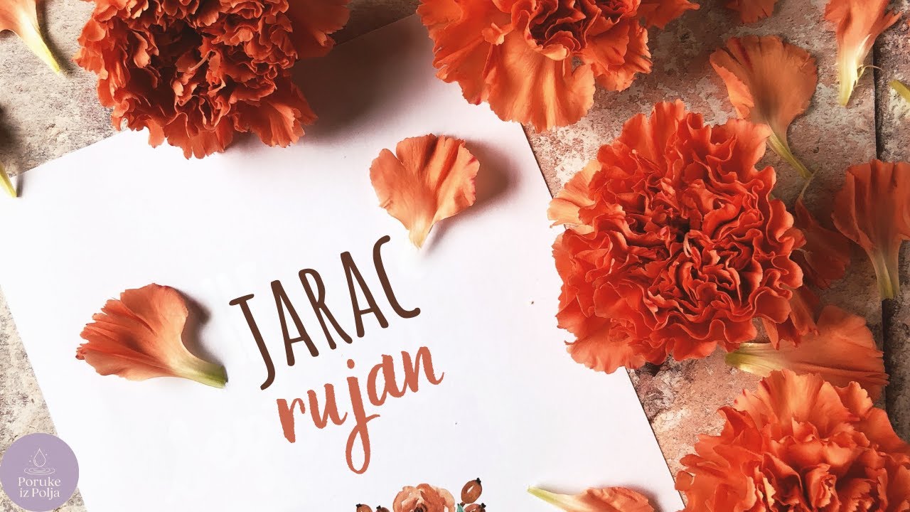 Jarac♑ | Rujan | Intuitivna poruka | Poruke iz polja
