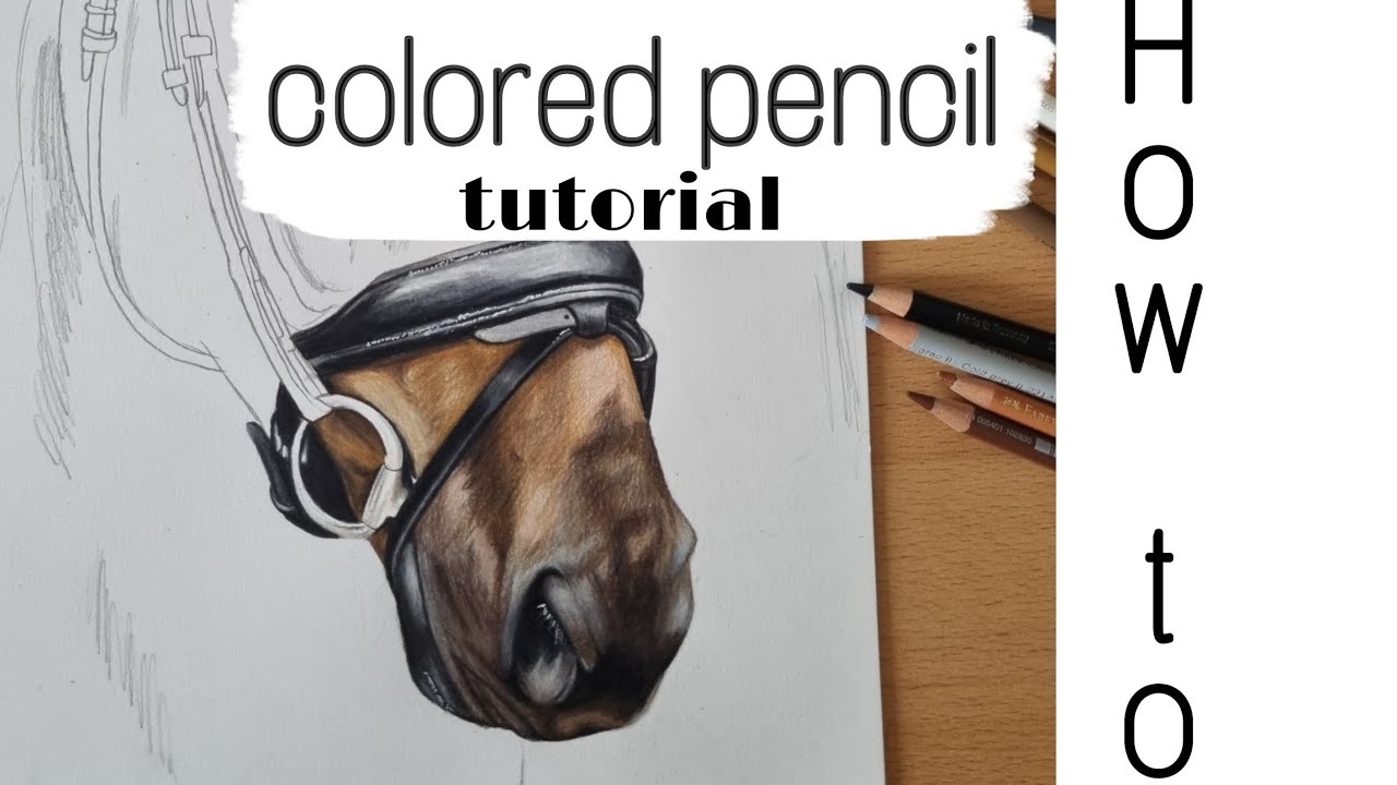 How to draw a horse with colored pencils