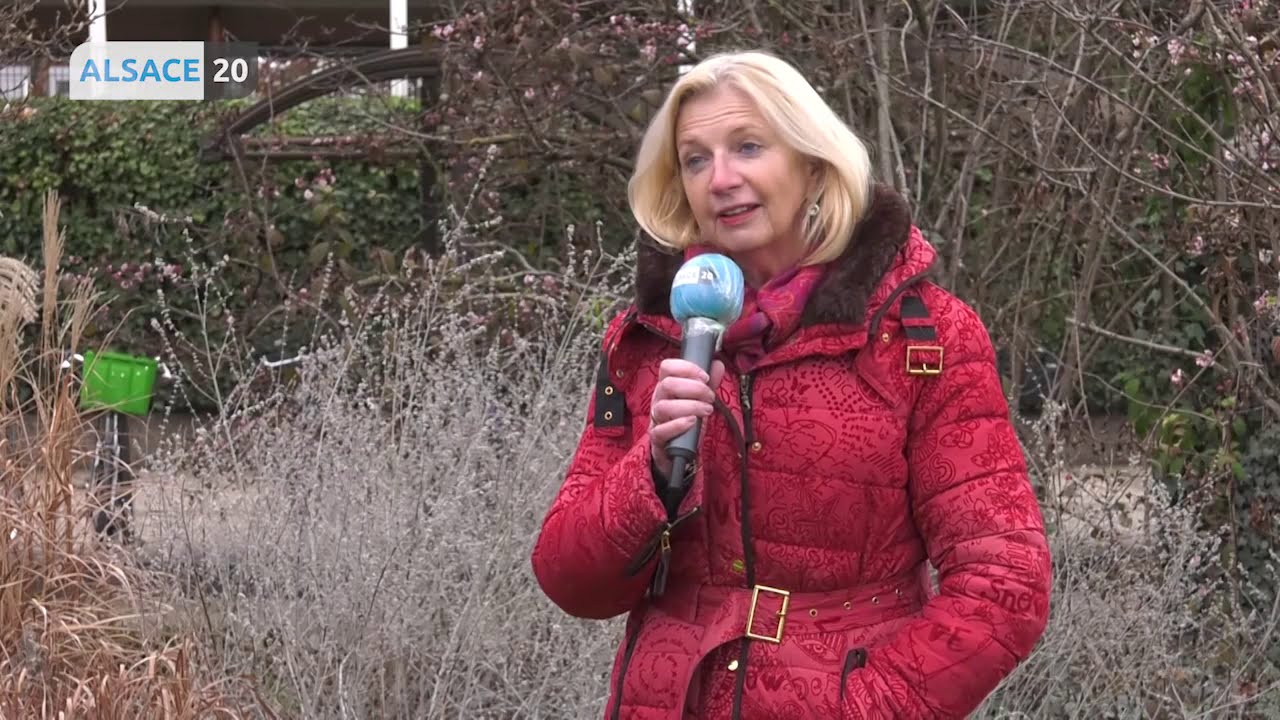 Arr&ecirc;t d&eacute;finitif du projet de g&eacute;othermie &agrave; Vendenheim.