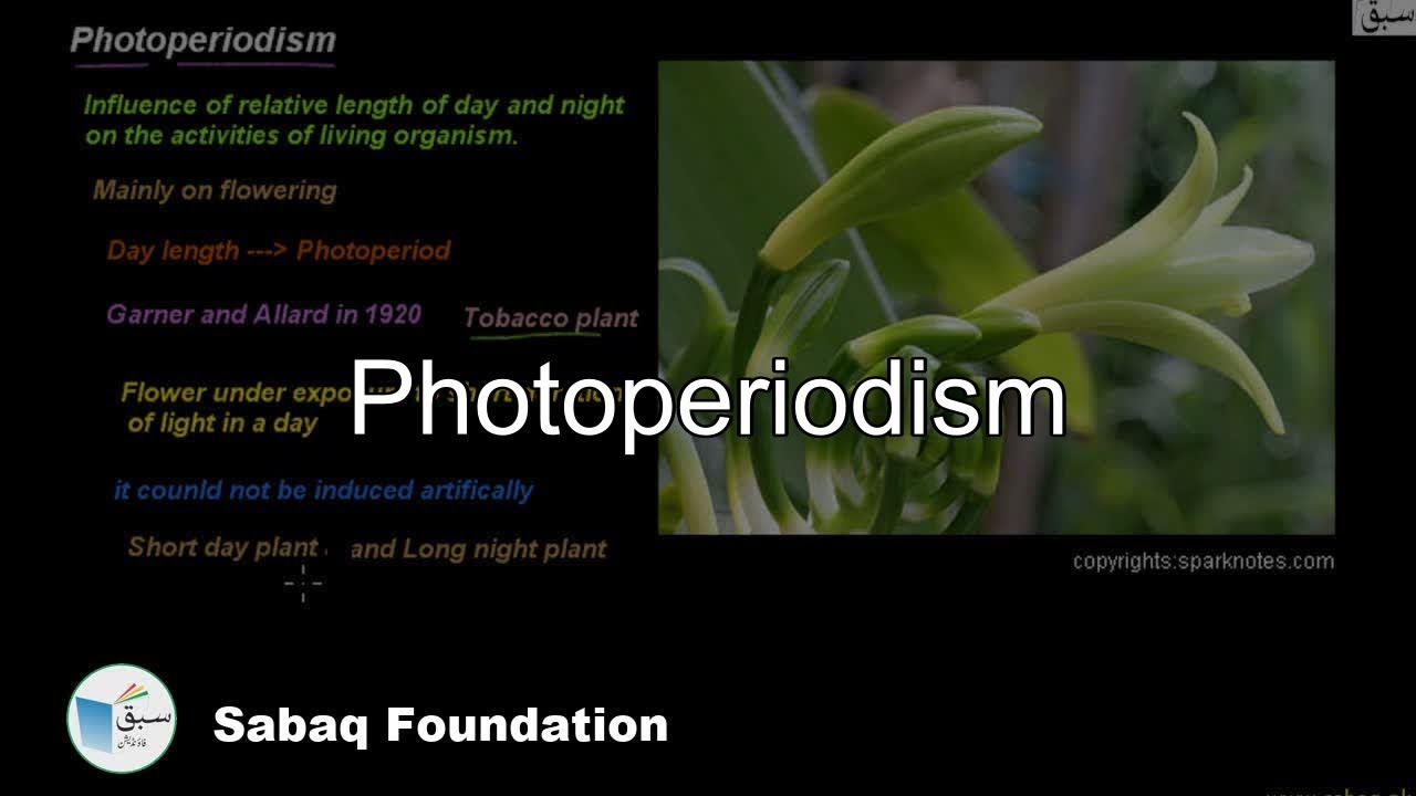 Photoperiodism, Biology Lecture | Sabaq.pk