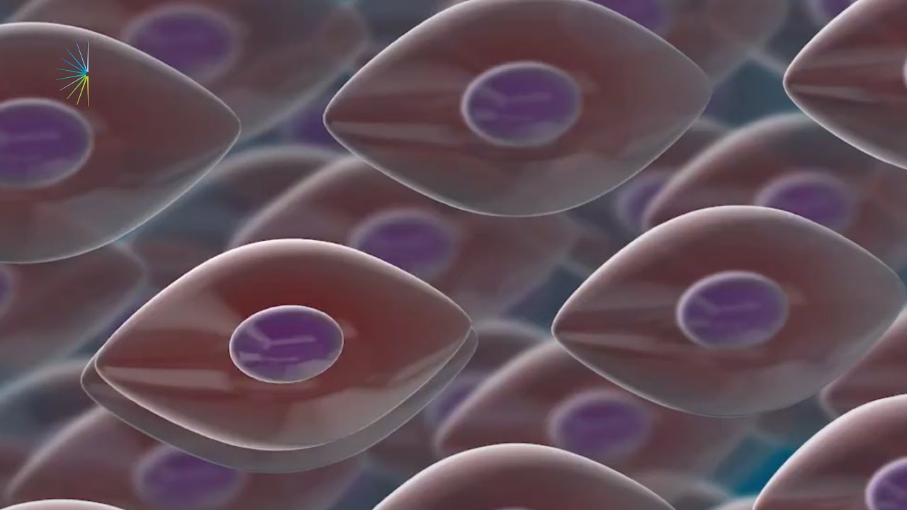 Stem Cell Banking in Oklahoma City, OK | Oral Surgery Specialists of Oklahoma