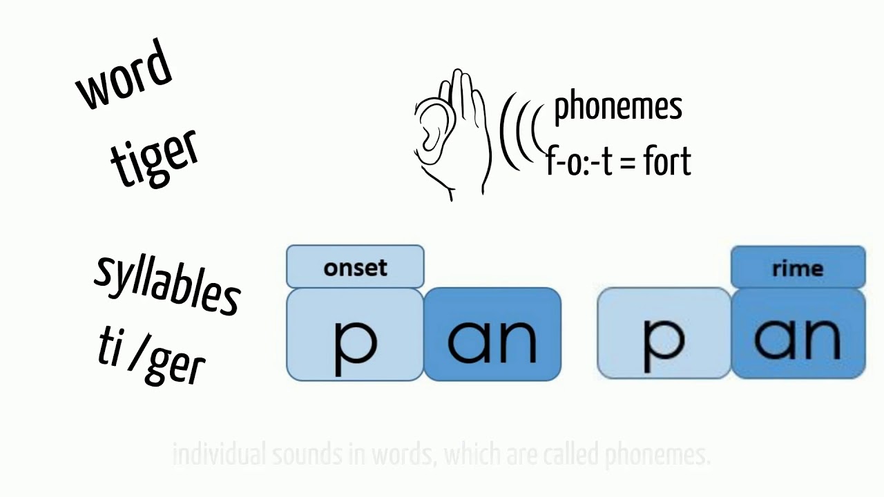 What is phonemic awareness?