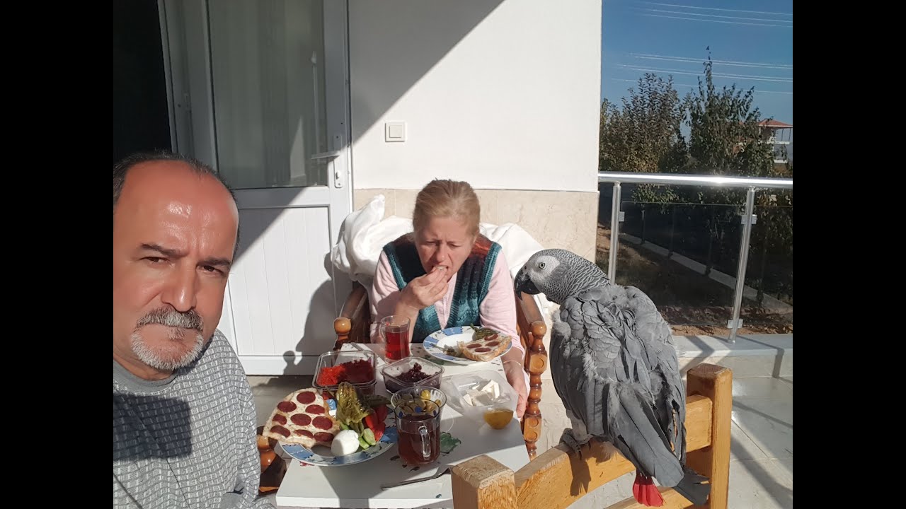 BİZ ÇEKİM YAPIYORUZ ZANNEDERKEN ÇAKIL YANIMIZA GELMİŞ