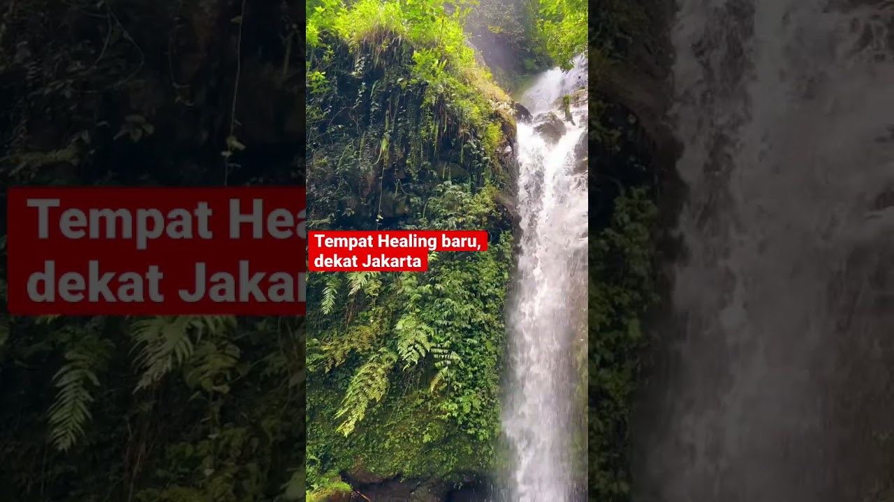 Panorama Curug, Cijeruk, Bogor #shorts #waterfall #jawabarat #curug #airterjun