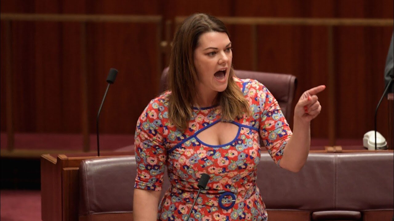 ‘Utterly unhinged’: Rita Panahi slams ‘activist class’ attacking Peter Dutton