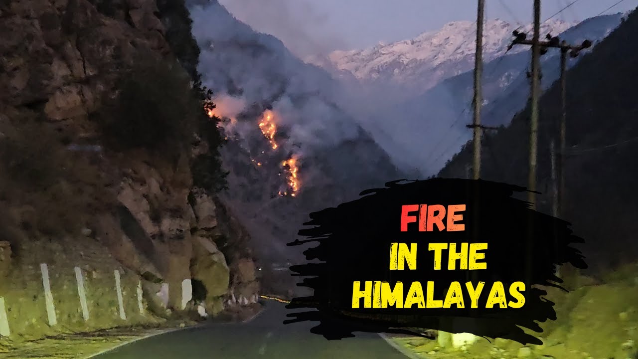 Flames in the Himalayas 🔥 | Kufri to Kalpa | Winter Spiti Begins