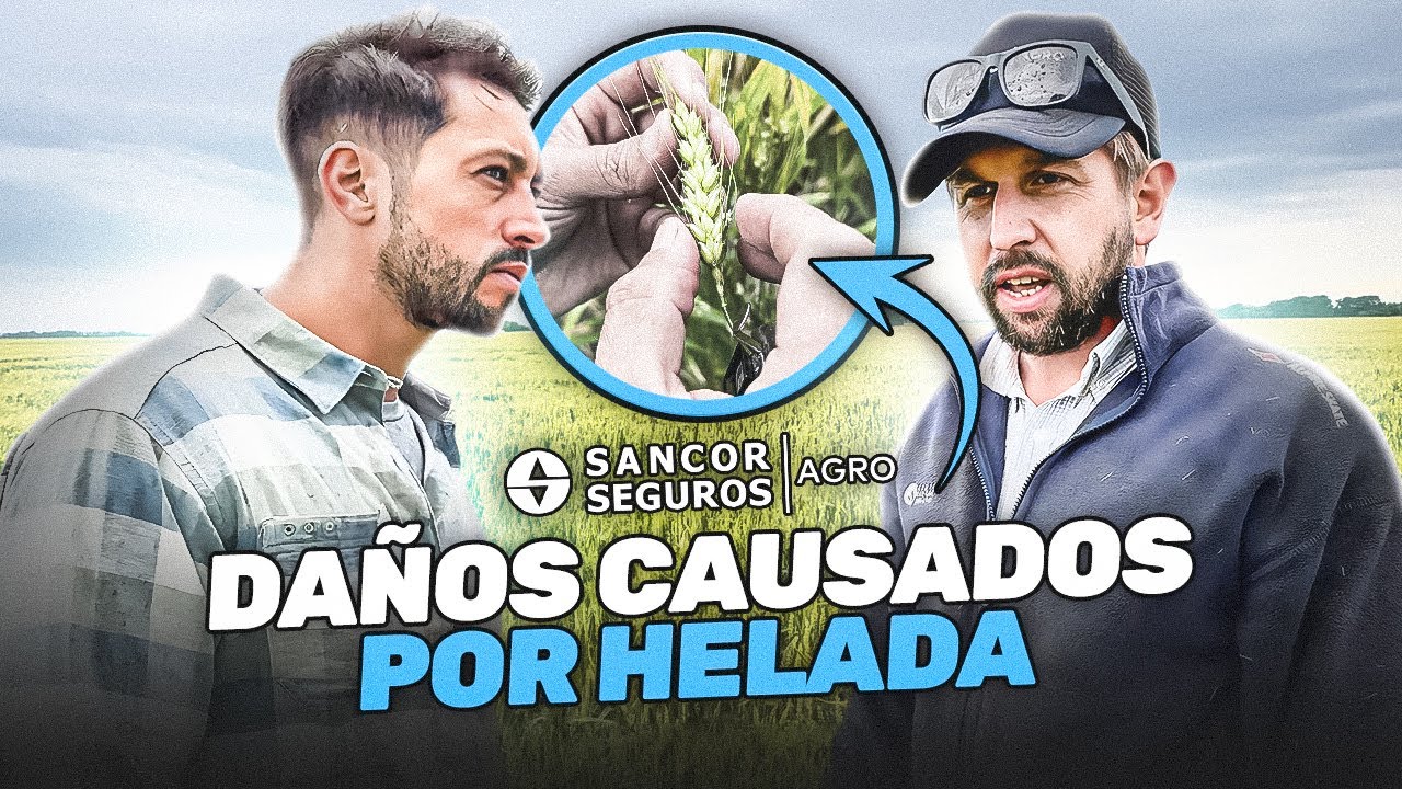 ASI NOS ENCONTRAMOS ESTE CAMPO LUEGO DE LA HELADA
