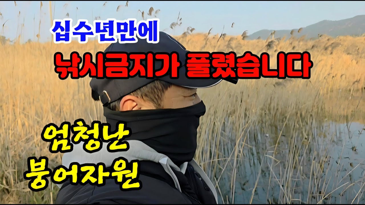 낚시금지구역 붕어잡기 참쉽네요