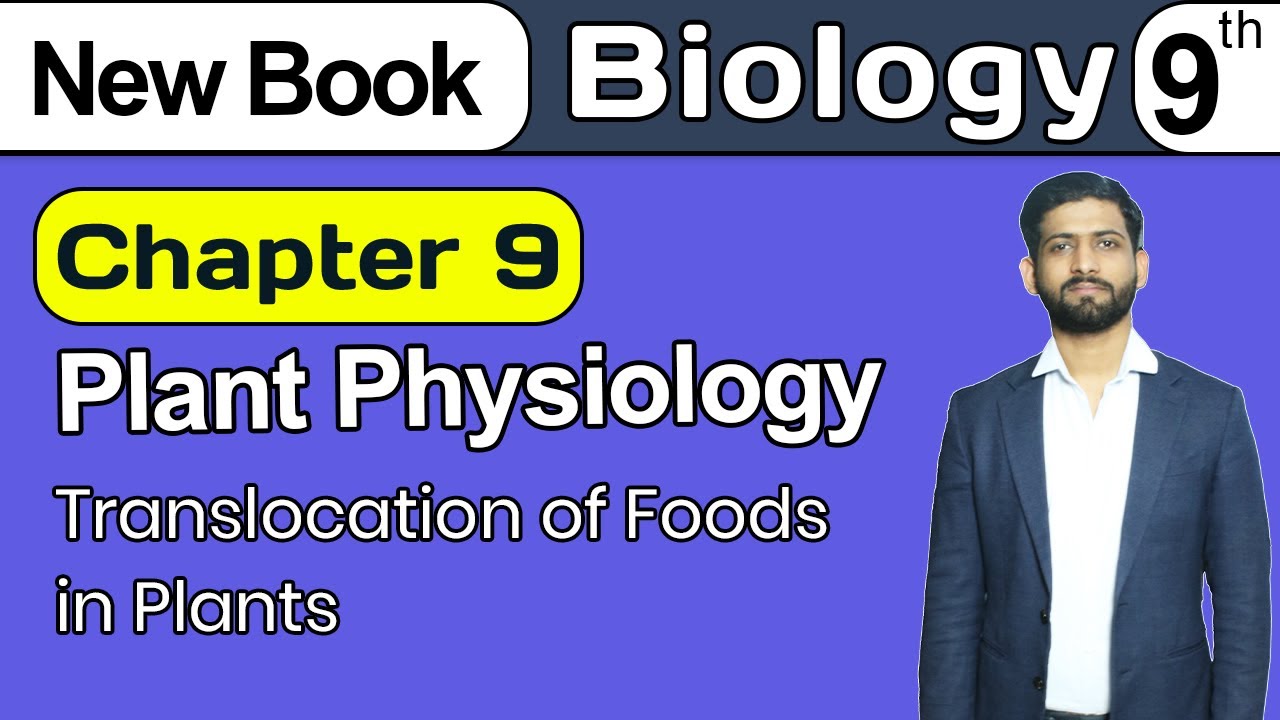 9th Class Biology Chapter 9 | Translocation of Food in Plants | Class 9th New Book 2025